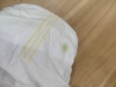 حجم كبير يمكن التخلص منها مقاوم للماء سحب السراويل عالية الامتصاص